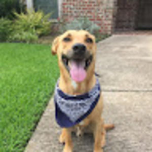 Meet your Posher, Elliott